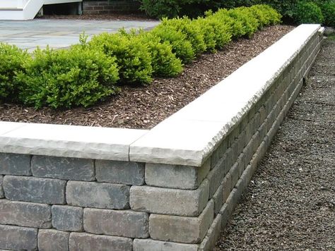 Capped Retaining Wall | Unilock Olde Quarry Sierra retaining wall with Bedford limestone cap ... Tiered Gardens, Property Fence, Brick Planters, Yard Walkway, Wall Gardens, Backyard Retaining Walls, Land Scapes, Large Backyard Landscaping, Garden Retaining Wall