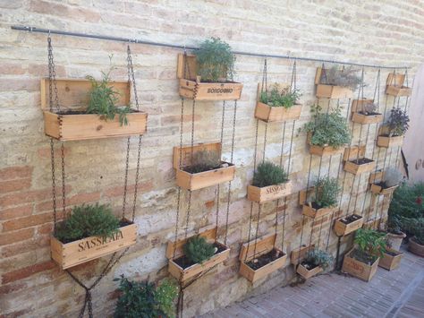 Cute wall idea from italy.  Herbs in wine magnum wood boxes Wall Mounted Herb Garden Outdoor, Box Herb Garden, Wood Herb Garden, Wine Box Garden, Wine Box Herb Garden, Wood Pallet Herb Garden Vertical Planter, Box Planters, Herb Boxes, Garden Wood