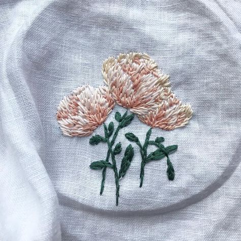 riga sutherland on Instagram: “New embroidery on white linen for a new shirt I’m making. Can you tell they are peonies? #handembroidery #peonies #dmcthreads #embroidery…” Embroidered Peony, Embroidery Peony, Peony Embroidery, New Embroidery, Fabric Embroidery, Riga, White Linen, Peonies, Hand Embroidery