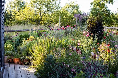 Great Dixter, Landscape Design Drawings, British Garden, Low Maintenance Garden, Magical Garden, Garden Borders, Garden Inspired, Cabins In The Woods, Kitchen Garden