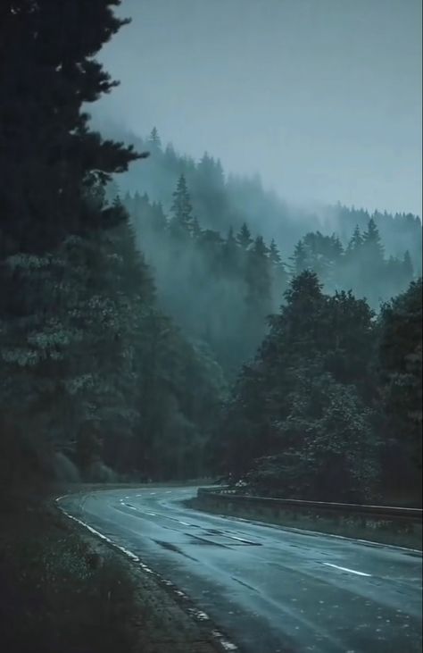 Rainy Aesthetics, Odyssey Art, Art For Walls, Dark Forest Aesthetic, Foggy Weather, Walls Art, Twilight Photos, Beautiful Horse Pictures, Foggy Mountains