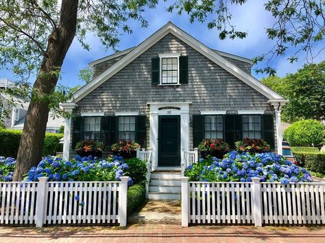 Everyone’s favorite, ‘Hunky Dory’💙 #nantucketfineliving #nantucket #hydrangeas #lovewhereilive #hunkydory #nantucketfences Chic Porch Decor, New England Home Exterior, Only 2 Days Left, Nantucket Cottage, Shabby Chic Porch, New England Home, 2 Days Left, England Homes, Cottage Exterior