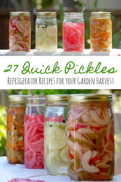 27 Quick Pickles - Refrigerator Recipes for Your Garden Bounty | The Good Hearted Woman Quick Pickle Recipe, Refrigerator Pickle Recipes, Quick Pickle, Pickled Vegetables Recipe, Quick Pickles, Pickle Recipes, Canning Pickles, Refrigerator Pickles, Fermentation Recipes