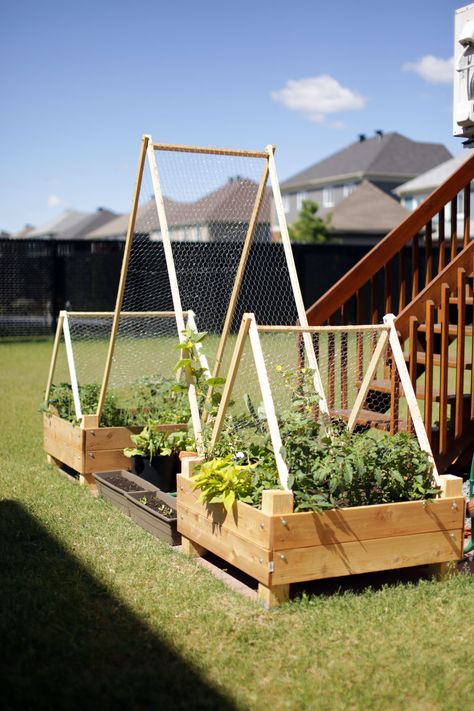 Wine Box Garden, Diy Garden Bar, Garden Box Plans, Trellis Diy, Fairytale Garden, Garden Boxes Diy, Diy Garden Bed, Diy Trellis, Garden Solutions