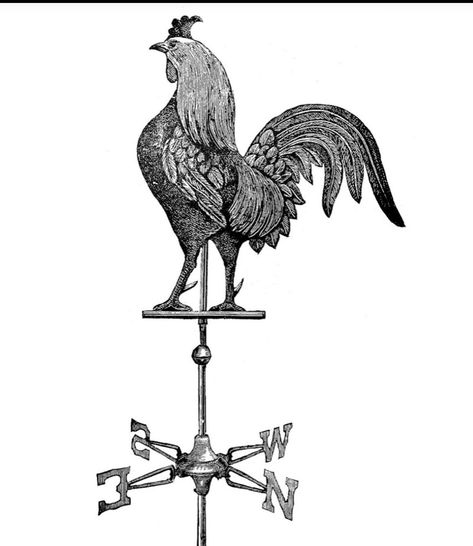 Weather Vanes, Rooster, Moose Art, Tattoos, Animals, Art