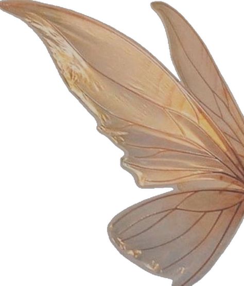 Butterfly Wing Aesthetic, Wing Aesthetic, Tinkerbell Characters, Fairycore Aesthetic, Scrapbook Printing, Fairy Aesthetic, Angel Aesthetic, Butterfly Wing, Cover Up Tattoos