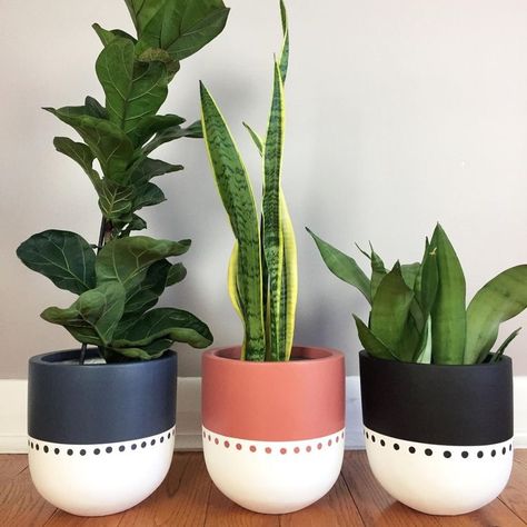 Plant Pot Design, Flower Pot Art, Plant Pot Diy, نباتات منزلية, Painted Pots Diy, Flower Pot Design, Painted Plant Pots, Painted Terra Cotta Pots, Hemma Diy