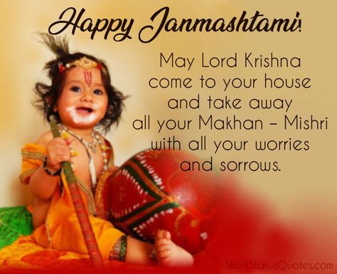 Newborn Baby Captions, Janmashtami Greetings, Status Captions, Janmashtami Status, Happy Navratri Status, God Illustration, Caption For Instagram, Janmashtami Images, Gifs Cute