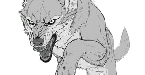 Jumping Wolf, Wolf Jumping, Wolf Poses, Wolf Sketch, Canine Drawing, Werewolf Art, 강아지 그림, Wolf Drawing, Canine Art