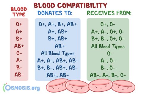 Phlebotomy Study Notes, Hematology Notes, Blood Compatibility, Nursing School Prep, Nursing School Studying Cheat Sheets, Nursing School Inspiration, Medical Assistant Student, Doctor Of Nursing Practice, Nursing School Essential