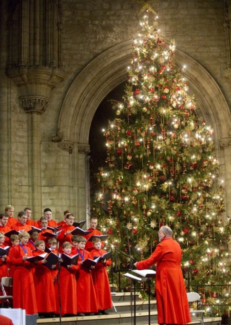 Ely Cathedral, English Christmas, Christmas In The City, Christmas Carols, Twelve Days Of Christmas, The Swing, Christmas Scenes, Holy Night, Christmas Music