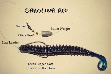 Fishing Tricks, Carolina Rig, Drop Shot Rig, Fishing Basics, Bass Fishing Lures, Bass Fishing Tips, Pike Fishing, Fishing Rigs, Crappie Fishing