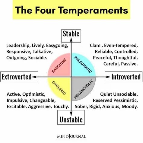 The Four Humours, The 4 Temperaments, The Four Temperaments, 4 Temperaments Personality Types, Phlegmatic Temperament, Temperaments Personality, 4 Temperaments, Temperament Types, Four Temperaments