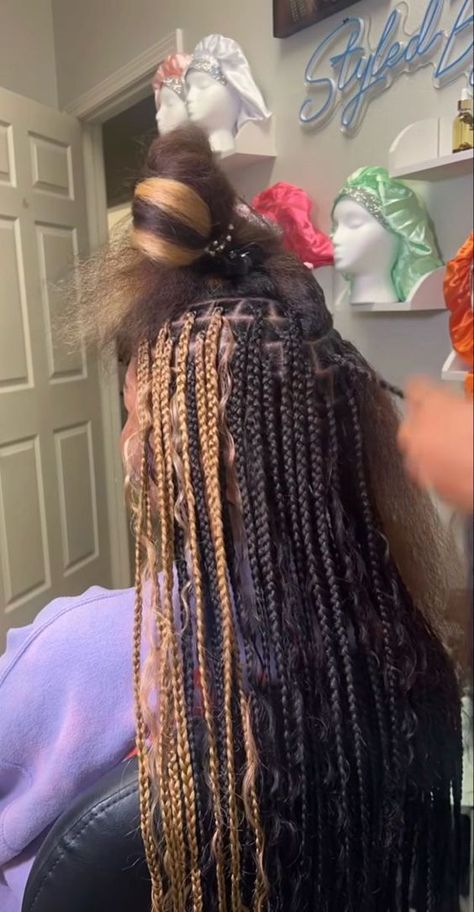 Knotless Braids With Skunk Patch Color, Stunk Strip Braids, Brown Skunk Stripe Braids, Skunk Stripe Boho Braids, Peekaboo Bohemian Braids, Skunk Stripe Braids Knotless, Ginger And Black Braids, Skunk Stripe Knotless Braids, Color Combos For Braids