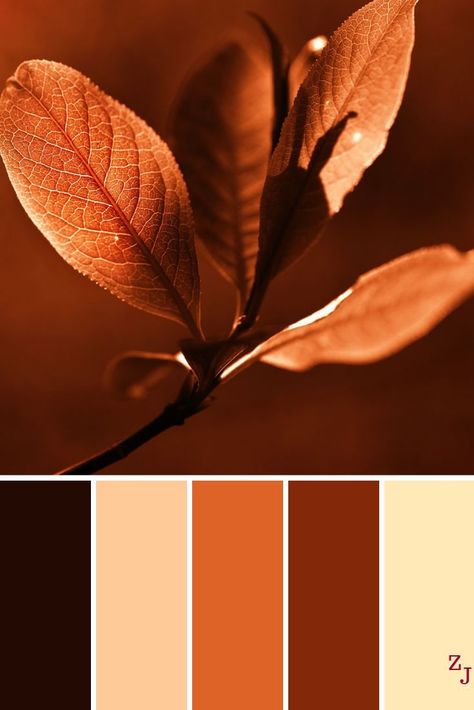 ZJ Colour Palette 1263 colourpalettes colourinspirationColour colourinspiration colourpalettes palette Check more at ://kaffee.wetterpin.site/zj-colour-palette-1263-colourpalettes-colourinspiration/ Rust Color Schemes, Farmhouse Color Scheme, Brown Color Scheme, Brown Color Schemes, Farm House Colors, Paint Color Palettes, Brand Color Palette, Brown Colour, Colour Board