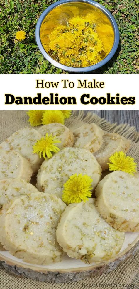 How To Make Shortbread Dandelion Cookies Recipe - Reuse Grow Enjoy Dandelion Cookies, Kitchen Witch Recipes, Edible Flowers Recipes, Wild Food Foraging, Foraging Recipes, Foraged Food, Make Cookies, Herbal Recipes, Mouthwatering Recipes