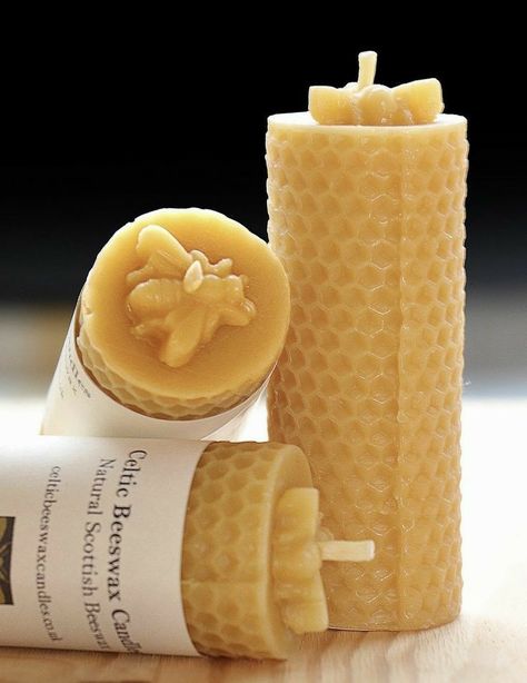 Sinus Allergies, Bee Candles, Popular Candles, Light Spectrum, Beeswax Pillar Candles, Honey Candle, Novelty Candles, Bee Skep, Church Candles