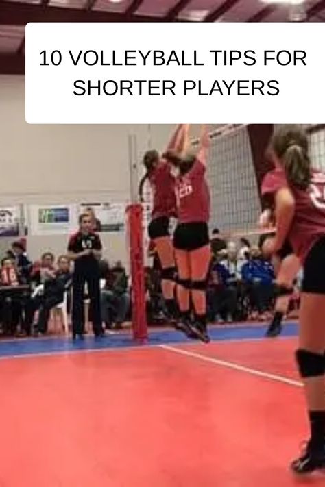 Diy Volleyball Net, Volleyball Hitter, Volleyball Setter, Volleyball Net, Short Person, Volleyball Tips, Volleyball Workouts, Play Volleyball, Short People