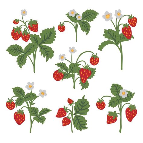 Strawberry Vine, Strawberry Bush Drawing, Berry Illustration, Wild Strawberry Drawing, Strawberry Plant Drawing, Strawberry Vine Illustration, Wild Strawberry Illustration, Bush Drawing, Strawberry Bush