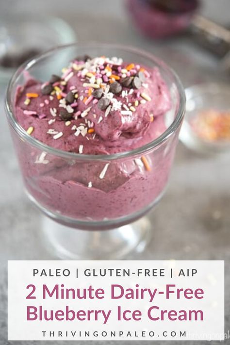 Aip Dessert Recipes, Paleo Fruit, Aip Paleo Recipes, Dairy Free Smoothies, Aip Desserts, Blueberry Ice Cream, Paleo Recipes Dessert, Dairy Free Ice Cream, Paleo Sweets