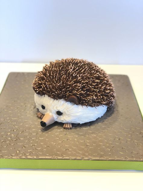 Hedgehog Cake Hedgehog Bday cake.Half ball pan. Hair is airbrushed noodles. Headchog Cake, Bad Hedgehog Cake, Easy Hedgehog Cake, Hedgehog Cake Ideas, Hedgehog Cakes Ideas, Porcupine Cake, It Birthday Cake, Funny Hedgehog Cake, Hedgehog Birthday Cake