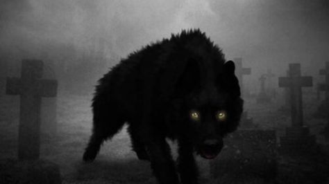 Embedded image Black Dog Folklore, Black Dog Myth, Grim Dog, Hunting Hounds, Black Dogs, Art With Meaning, Canine Art, World Of Darkness, Londonderry