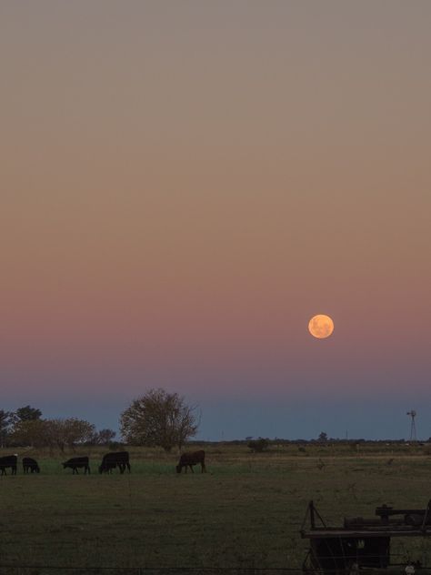 Eclipse Lunar, Country Life, Moon