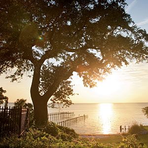 From shrimp boats and seafood shacks to old neighborhood pubs, Alabama's gulf coast is a foodie mecca. Southern Road Trips, Nice Travel, Fairhope Alabama, Southern Travel, Dauphin Island, Southern Cities, Oak Trees, Sweet Home Alabama, Orange Beach