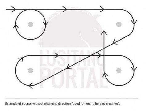 Horse Flatwork, Barrel Racing Exercises, Barrel Racing Training, Horse Training Ground Work, Horse Riding Arena, Riding Ideas, Barrel Train, Dressage Exercises, Horse Training Exercises