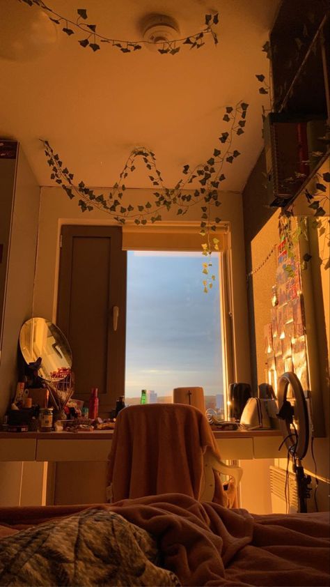 Vine Lights Bedroom Ceiling, Sunlit Room, Sunlit Room Aesthetic, Vines And Fairy Lights Bedroom Ceiling, Vine Ceiling Bedroom Aesthetic, Boho Bedroom Vines And Lights, Vines On Celling Aesthetic, Hanging Vines, Uni Room