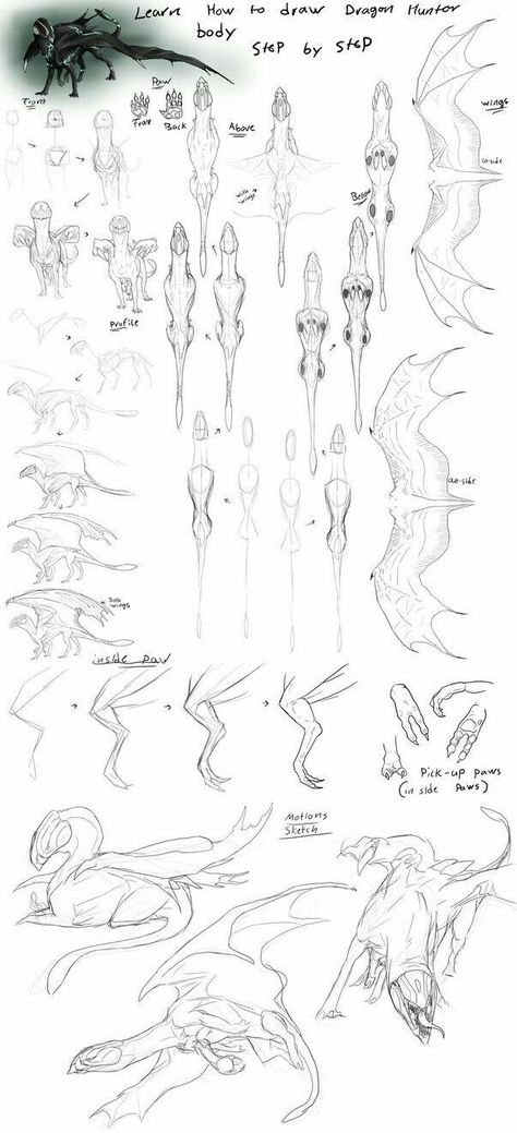 Dragon Poses, Dragon Anatomy, Creature Fantasy, Illustration Tutorial, Some Sketches, Dragon Sketch, Creature Drawings, Fantasy Creatures Art, Dragon Artwork