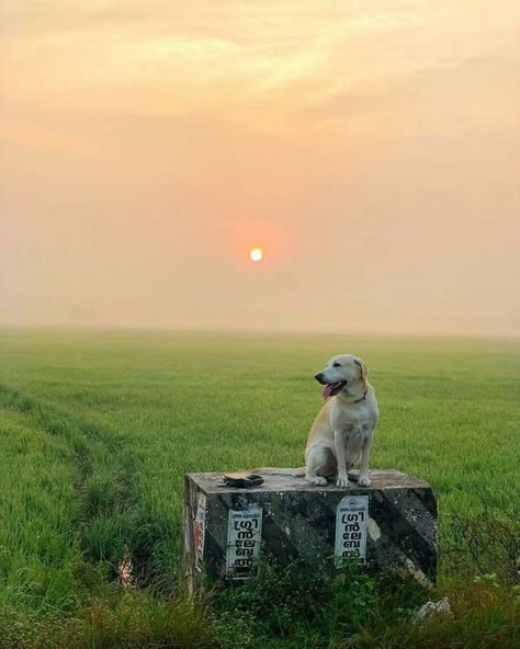 Palakkad, Kerala All Apple Products, Sky Photography Nature, Kerala Tourism, Munnar, Instagram Creative, Colorful Style, Funny Animal Pictures, Sky Aesthetic, Sky Photography