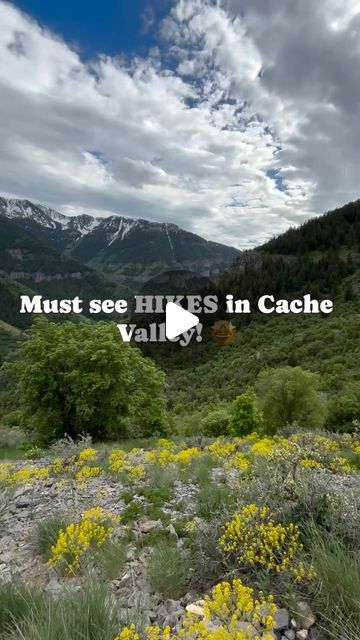 BeLocal Cache Valley on Instagram: "Must see hikes in Cache Valley! ☀️ Blazing Trails and making memories, one adventure at a time! Did you know all these hikes are up Logan Canyon, Utah?  #1 Deep Canyon Trail- Distance: 3 miles- Moderate  #2 Windcaves- Distance: 4 miles- Challenging  #3 Crimson Trail- Distance: 4.7 miles- Challenging  #4 Highline Trail- Distance: 3.4 miles- Easy 🌲☀️🥾 #loganhikes #loganutah #wellsville #cachevalley #cachevalleyutah #hiking #windcaves #crimsontrail #belocalcachevalley" Cache Valley Utah, Logan Utah, Utah Hikes, Making Memories, Utah, Did You Know, Hiking, Instagram