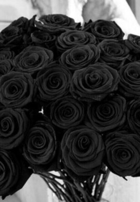 Black Halloween Costumes, Black Rose Flower, Natural Red Hair, Fashion 80s, Black Roses, Win My Heart, Inspire Me Home Decor, Trendy Flowers, Black Halloween