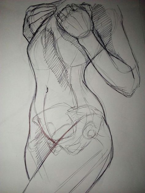 Female Falling Reference, Female Reference Anatomy, Line Drawing Anatomy, Male Arched Back Reference, Sketch Anatomy Woman, Anatomy Study Poses, Female Character Drawing Reference, Sketch Poses Female Anatomy Reference, Womens Anatomy Reference