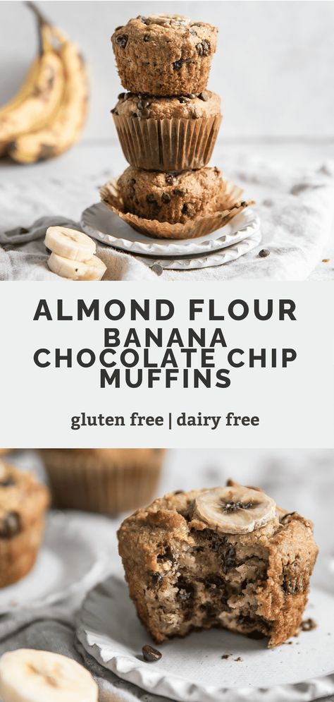 These paleo banana chocolate chip muffins are the best!! Made with almond flour, no sugar (sweetened with bananas and the chocolate chips) and an easy recipe that is ready in 30 minutes! These muffins are gluten free and perfectly moist! No one will know they're actually pretty healthy. #glutenfree #paleo #recipe Oat Flour Banana Muffins, Almond Flour Banana Muffins, Healthiest Nut Butter, Almond Flour Banana, Banana Muffins Easy, Almond Flour Muffins, Flours Banana Bread, Banana Cheesecake, Baking With Almond Flour