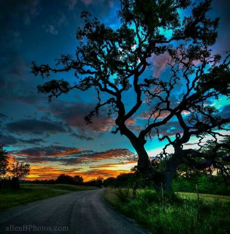 Texas Hill Country Texas Sunrise, Country Sunset, Picture Tree, Scenery Pictures, Scenic Photography, Nature Plants, Texas Hill Country, Alam Yang Indah, Beautiful Sky