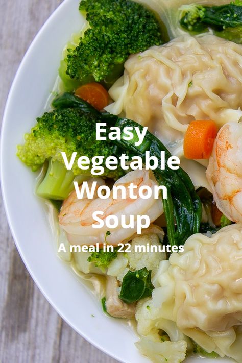 Wonton Soup With Vegetables, Slow Cooker Wonton Soup, Vegetable Wonton Soup, Frozen Wonton Soup Recipe Easy, Wonton Soup Recipe Easy, Wonton Broth, Wor Wonton Soup Recipe, Won Ton Soup Recipe, Soup Wonton