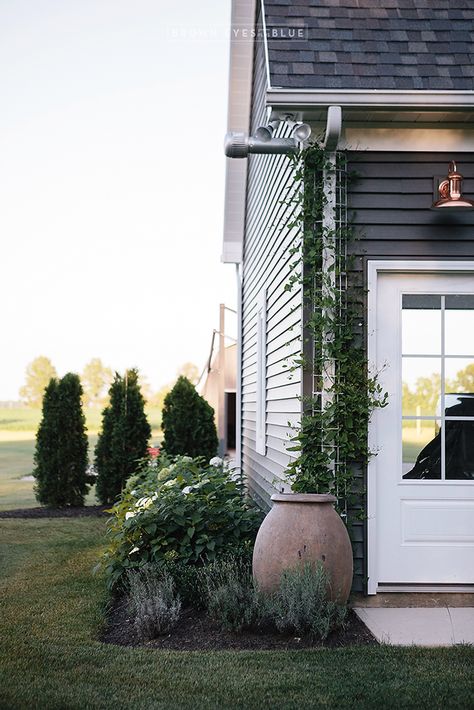 pot and vines hide drain pipe. Love this idea. Pipes Design, Hide Pipes, Patio Interior, Back Garden, Front Yard Landscaping Design, Front Garden, Vertical Garden, Dream Garden, Garden And Yard