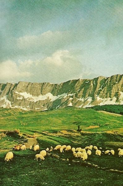 Vintage National Geographic, National Geographic Photography, National Geographic Magazine, Vintage Landscape, New Wall, Green Aesthetic, Vintage Photography, Digital Collage, Art And Architecture