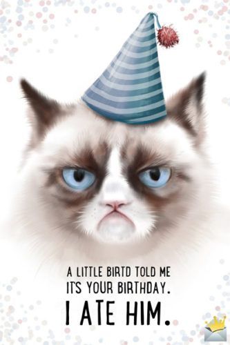 Happy Birthday Friendship, Happy Birthday Wishes For A Friend, Funny Happy Birthday Images, Funny Happy Birthday Meme, Funny Happy Birthday Pictures, Happy Birthday Typography, Funny Birthday Meme, Funny Happy Birthday Wishes, Birthday Memes