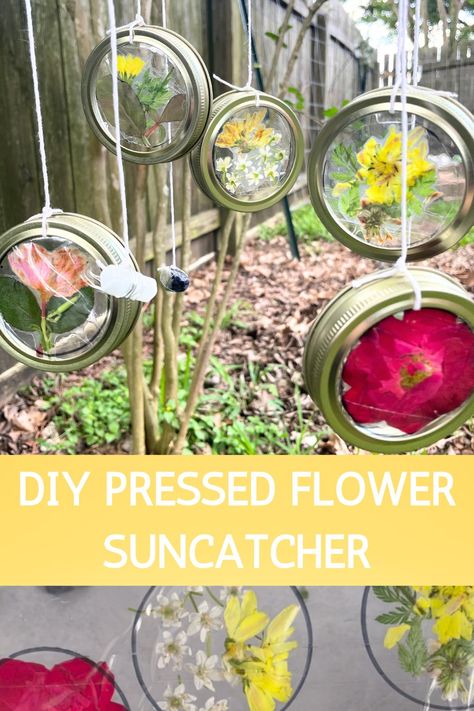 This DIY pressed flower suncatcher is so beautiful and easy to create. It uses recycled mason jar lids and other items you already have in your home! Pressed Flower Mason Jar, Mason Jar Lid Suncatcher, Pressed Flower Suncatcher Kids, Plant Suncatcher Craft, Jar Lid Crafts Diy, Mason Jar Lid Flowers Diy, Flower Suncatcher Craft, Dried Flower Suncatchers Diy, Pressed Flower Diy Crafts