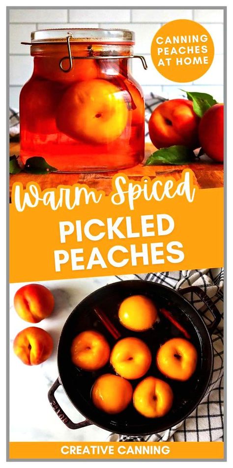 Warm spiced pickled peaches are a delicious way to preserve peaches, combining sweet-tart flavors with spices like cloves, ginger, and cinnamon. Perfect as a side dish with roast pork or on top of vanilla ice cream. Learn how to can these nutrient-packed peaches. Find more preserving fruit in jars, canning recipes for beginners, preserving peaches, and Fruit Preserves at creativecanning.com. Preserve Peaches, Preserving Peaches, Pickled Peaches Canning, Ways To Preserve Peaches, Canning Spiced Peaches, Peach Preserves Recipe Canning, Spiced Peach Jam Canning Recipes, Fruit Preserves Recipe, Peach Preserves Recipe No Pectin