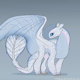 Light Fury Reference, Httyd Headcanon, Light Fury Redesign, Light Fury Fanart, Caitlin Pokemon, Light Fury Art, The Light Fury, Mythical Creature Art, Toothless And Stitch