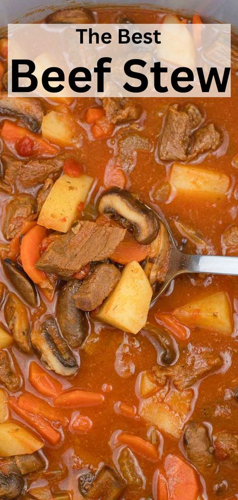 Learn to make the best beef stew like a pro. This delicious beef stew features tender beef and hearty vegetables cooked in tomato sauce and is packed with delightful flavors. Super easy and delicious beef stew. Stew With Tomato Sauce, The Best Beef Stew, Delicious Beef Stew, Best Beef Stew Recipe, Best Beef Stew, Tender Beef, Beef Stew Recipe, Beef Stew, Like A Pro