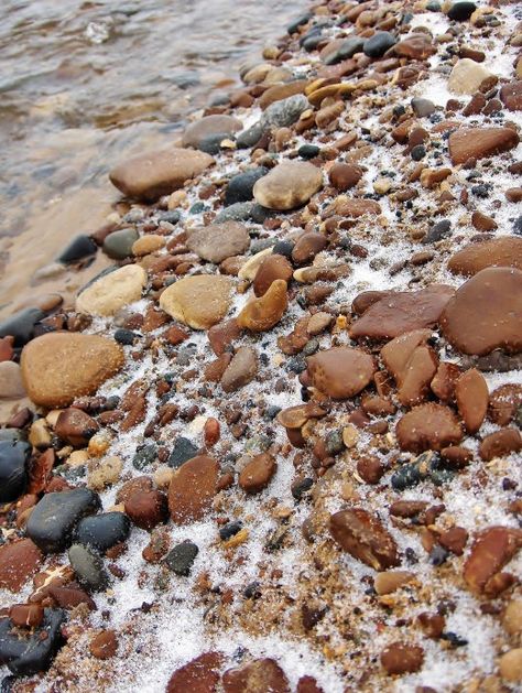 Camping Craft, Lake Michigan Stones, Michigan Rocks, Polished Rocks, Rock Identification, Michigan Road Trip, Michigan Beaches, Color Symbolism, Rocks And Fossils