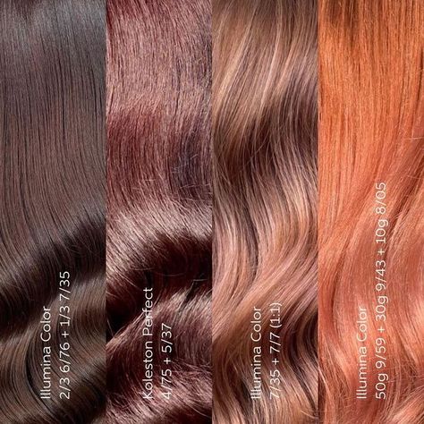 Wella Formulas, Bronze Hair Color, Formula Chart, Hair Formula, Warm Brown Hair, Wella Hair Color, Copper Red Hair, Wella Koleston, Rose Colors