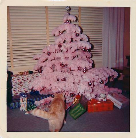 vintagegal:  1960’s Pink Christmas tree A Pink Christmas, Vintage Christmas Photos, Retro Christmas Tree, Pink Xmas, Christmas Tree Inspiration, Christmas Feeling, Pink Trees, Pink Christmas Tree, Christmas Past