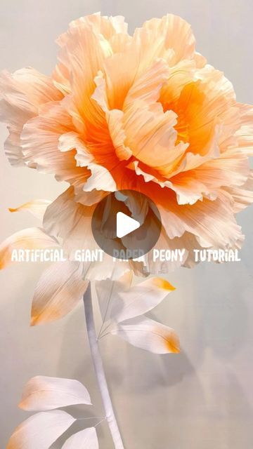 Zoi Decorative Design on Instagram: "Sunset - Giant Peony Flower making tutorial!#Artificialflowers #giant flower#wedding #party #Window display#peony #peonyflower #paperflowers#organza #tutorial #tutorials #mall" Organza Tutorial, Giant Flower Wedding, Crepe Paper Flowers Wedding, Ideas Casamiento, Giant Paper Flower Tutorial, Flower Making Tutorial, Crepe Paper Flowers Tutorial, Giant Flowers Diy, Big Paper Flowers