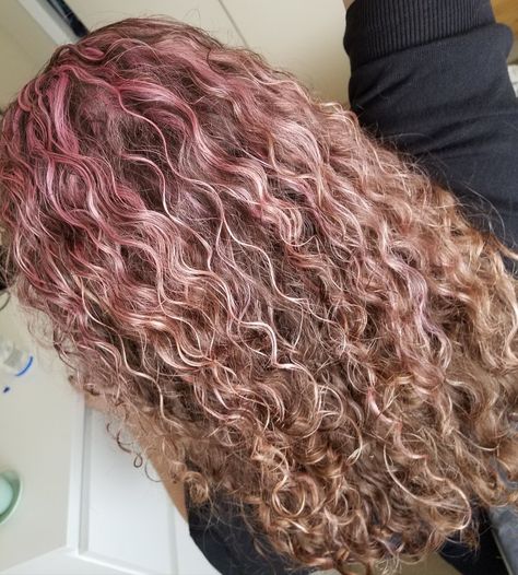 Rose gold highlights for curly hair Blonde Curly Hair Pink Highlights, Short Curly Hair Pink Highlights, Pink Highlights In Blonde Hair Curly, Curly Dyed Hair Highlights, Pink Highlights In Brown Curly Hair, Curly Pink Highlights, Curly Hair Pink Highlights, Curly Hair With Pink Highlights, Pink Highlights Curly Hair